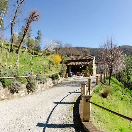 Le Piane * Lucca