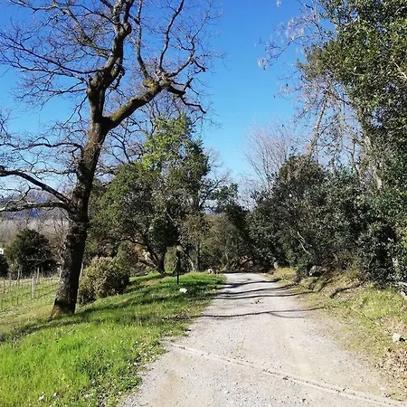 Le Piane * Lucca
