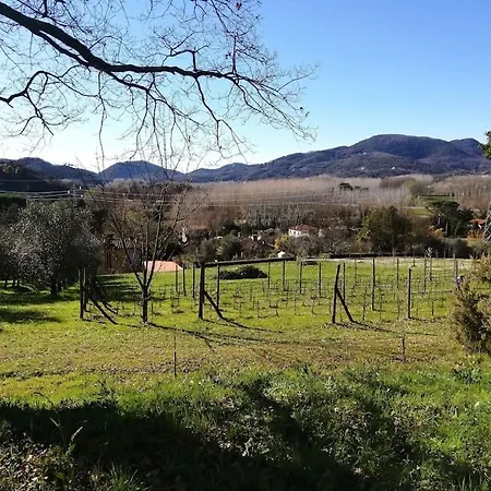 Le Piane *