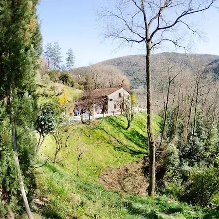 Le Piane