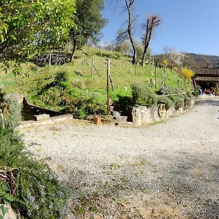 Le Piane